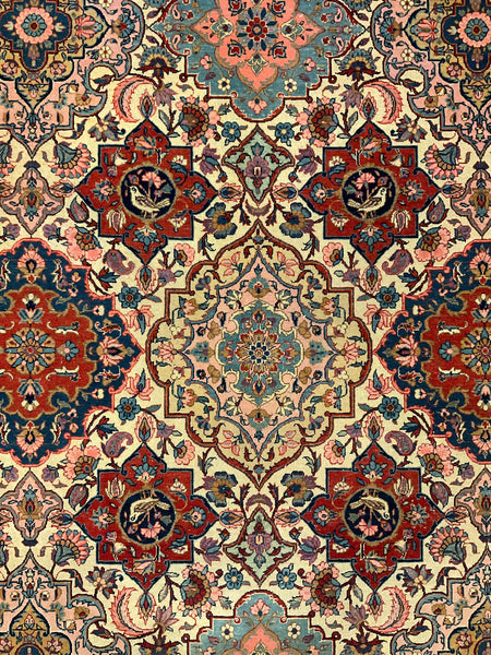 Kaoud Rugs 8.11X11.8 Rectangle IVORY KESHAN Area Rug